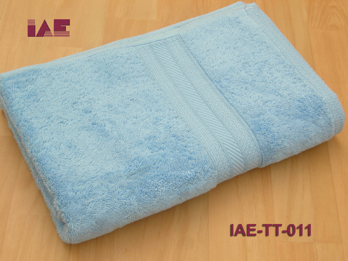 IAE-TT-011